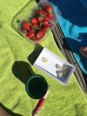 summer day + yahtzee + strawberries + canal